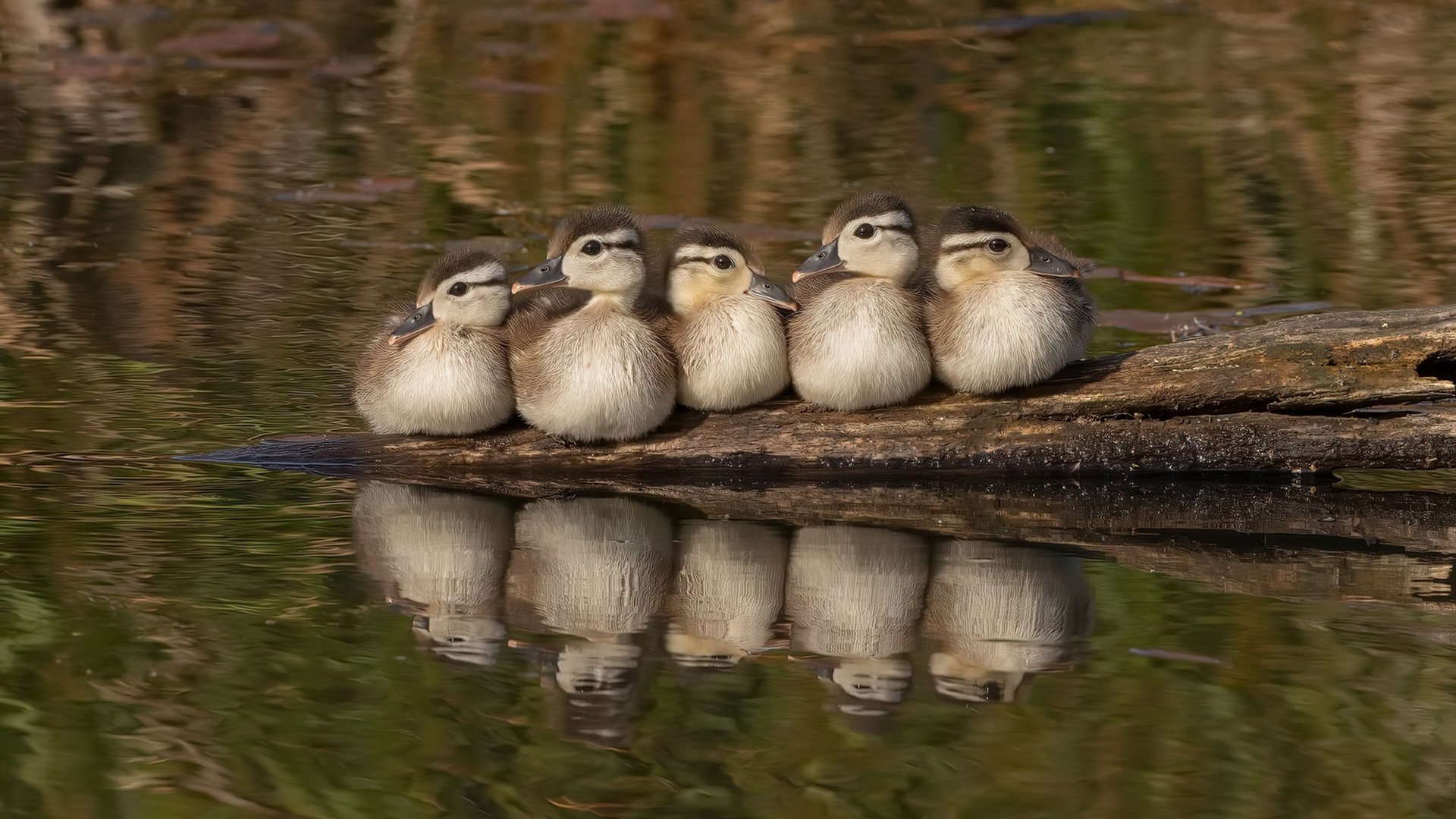 FB体育下载-精彩比拼打破僵局，赢得掌声与赞誉，打破僵局同义词