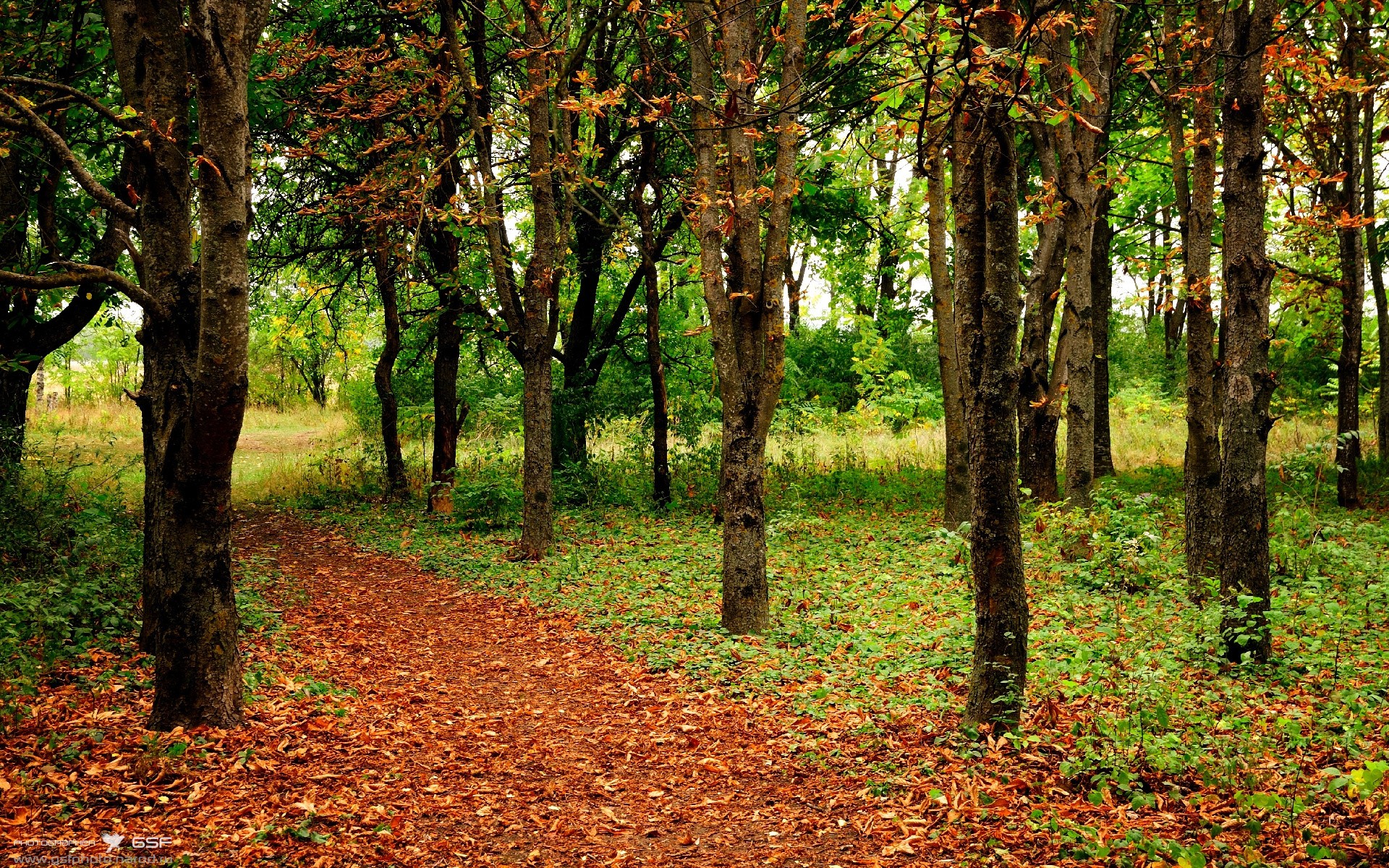 fb体育试玩-芬兰队在对立陶宛比赛中大获全胜，芬兰队在对立陶宛比赛中大获全胜是哪一年