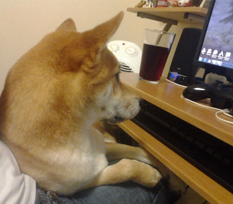 FB SPORTS-阿拉维斯主场击败塞尔塔Vigo，喜迎开门红，阿拉维斯 塞尔塔