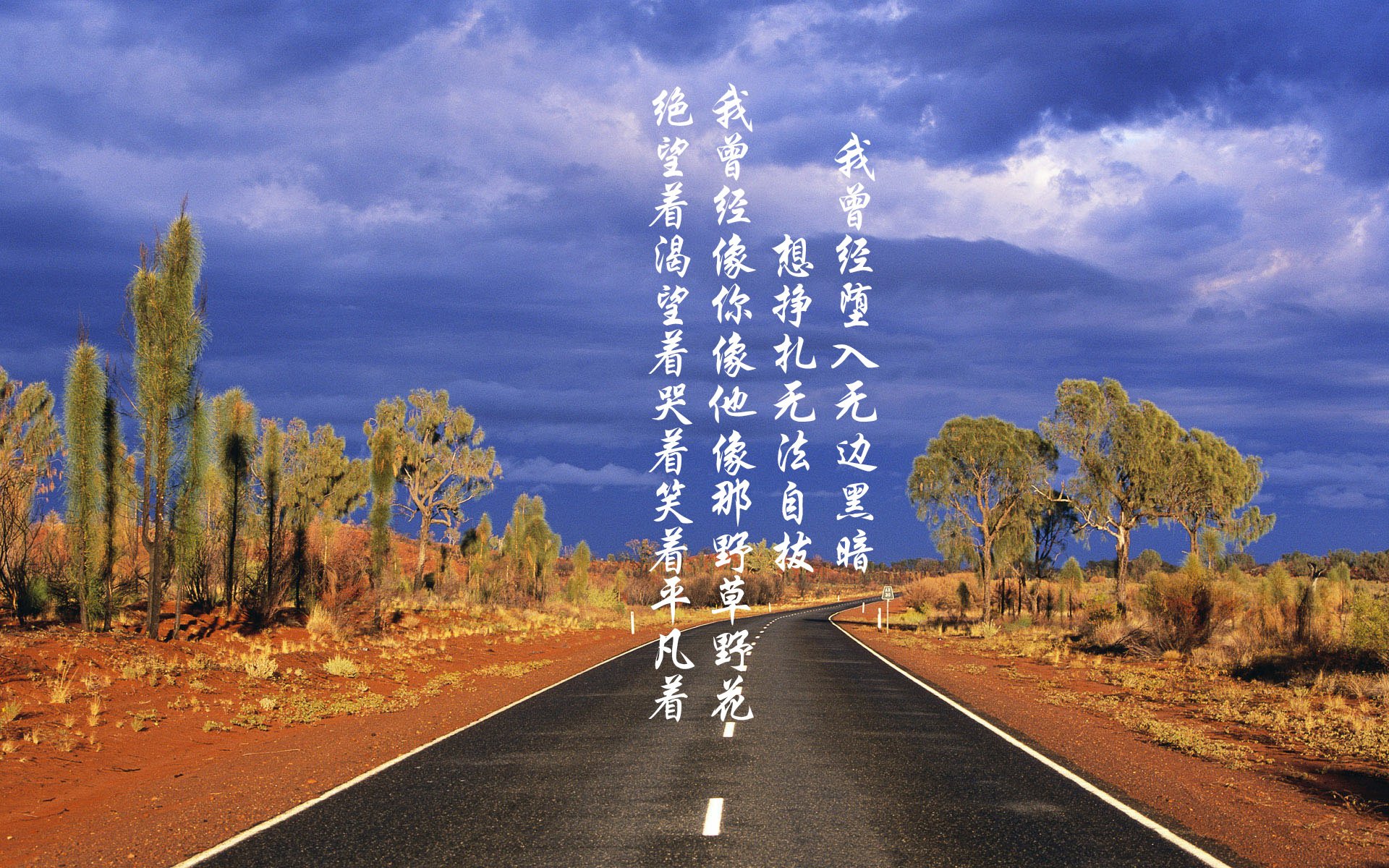 fb体育官网首页-国际乒联混合团体世界杯：德国队如何通过赛制应对更严峻挑战，乒乓球团体赛德国阵容