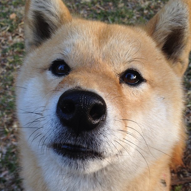 fb体育下载-基层青训师资配比严重不足，基层青训师资配比严重不足的原因