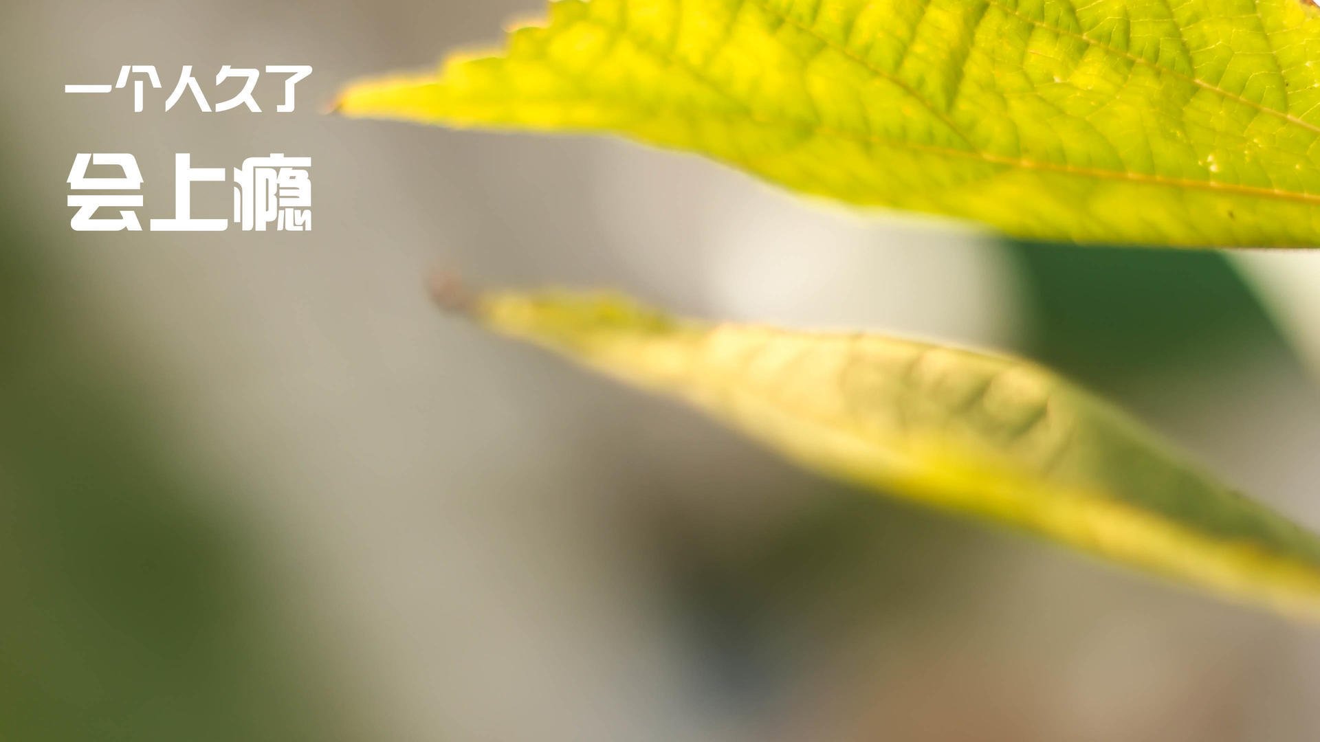 fb体育官网入口-高压体系下失误诱发失球是否明显上升，高压线路失压