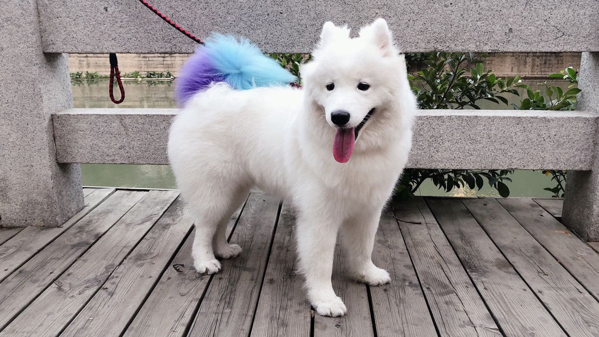 fb体育网站-林丹推广羽毛球入校园计划再扩展，林丹的羽毛球馆