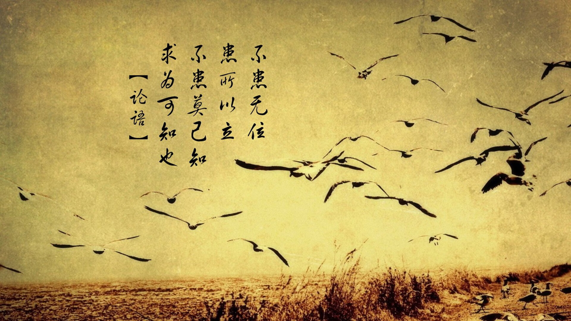 fb体育注册网址-欧洲杯变阵奇迹：策划、调整中的精彩瞬间，欧洲杯阵出炉